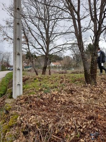 Terreno en camino de las Cercas, 22