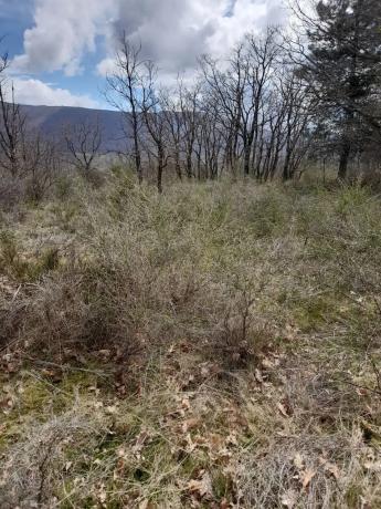 Terreno en camino de las Cercas, 22