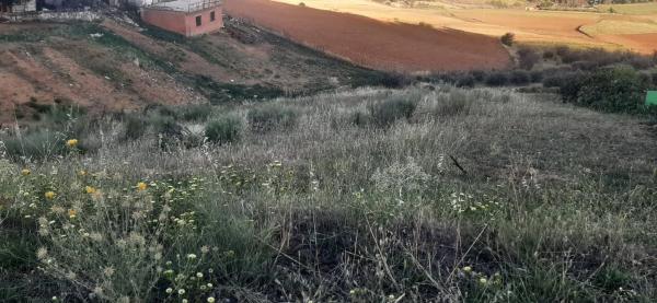 Terreno en Urbanizacion el Frontal, 8