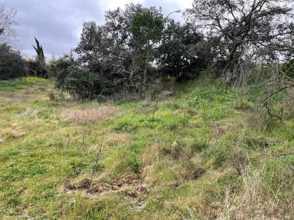 Terreno en paseo del Embajador, 80