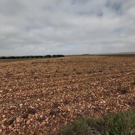 Terreno en Poligono 1 Parcela 331 s/n