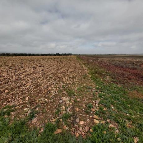 Terreno en Poligono 1 Parcela 331 s/n