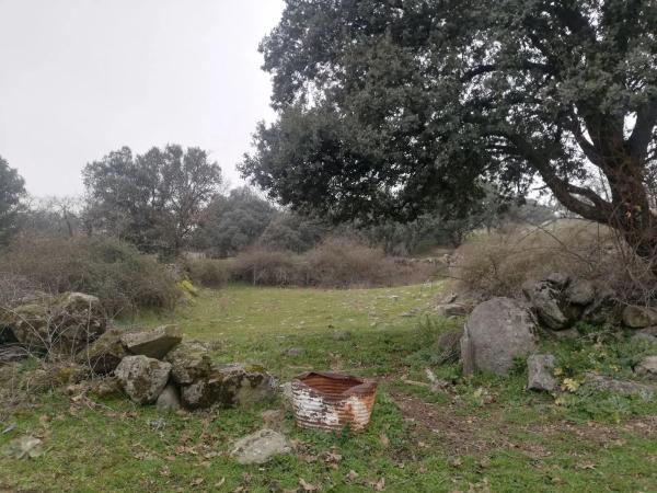 Terreno en camino del Molino de las Viñas s/n