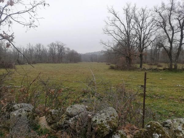 Terreno en camino del Molino de las Viñas s/n