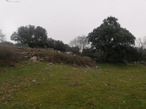 Terreno en camino del Molino de las Viñas s/n