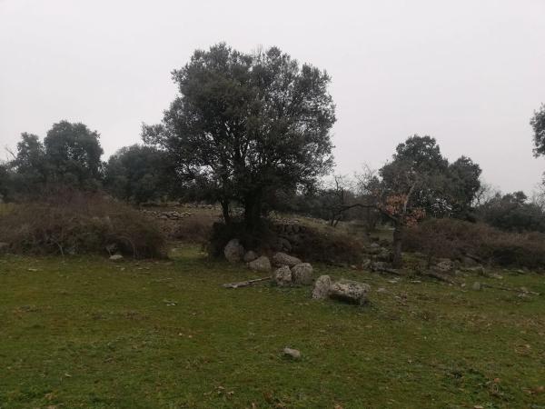 Terreno en camino del Molino de las Viñas s/n