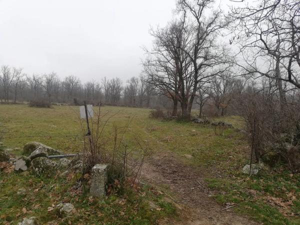 Terreno en camino del Molino de las Viñas s/n
