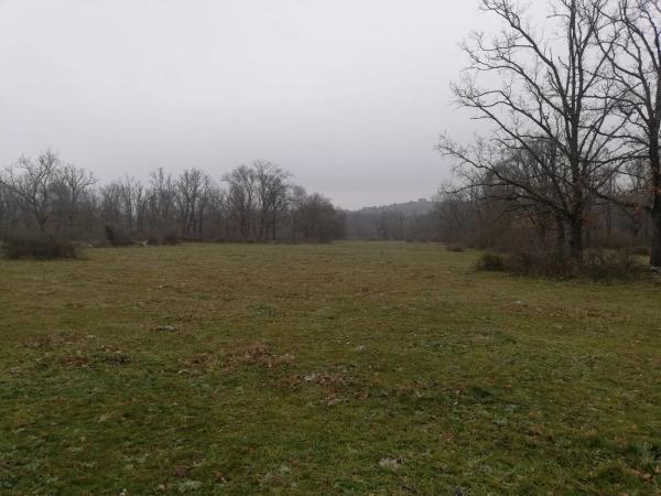 Terreno en camino del Molino de las Viñas s/n