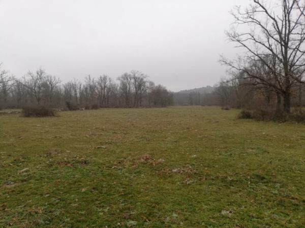 Terreno en camino del Molino de las Viñas s/n