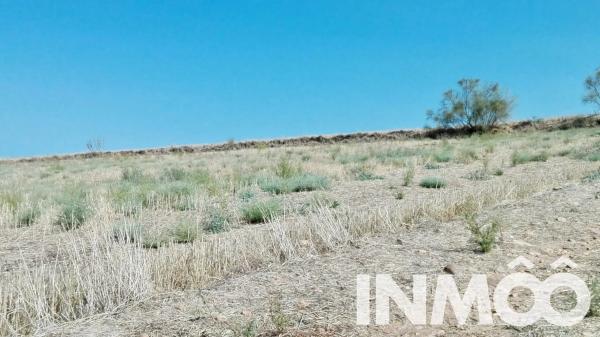 Terreno en parcela 145