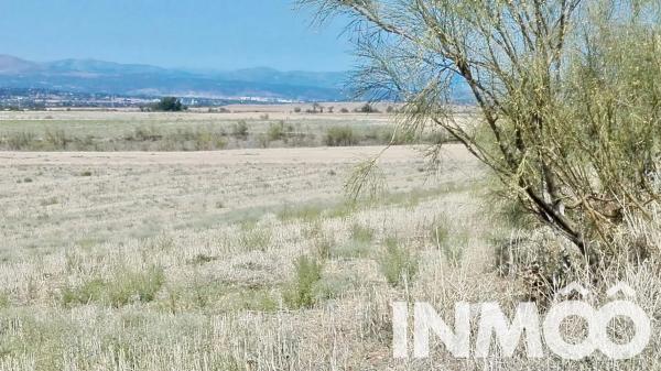 Terreno en parcela 145