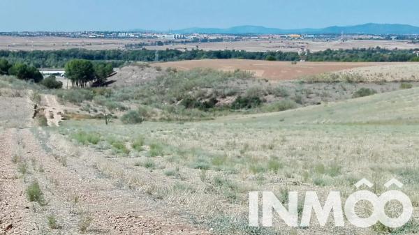 Terreno en parcela 145