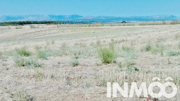 Terreno en parcela 145