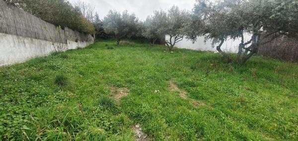 Terreno en calle Sargadillo