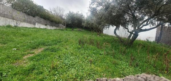 Terreno en calle Sargadillo