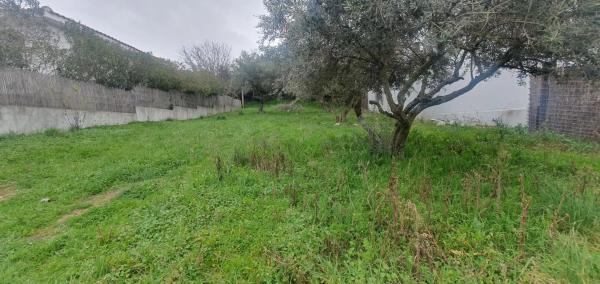 Terreno en calle Sargadillo