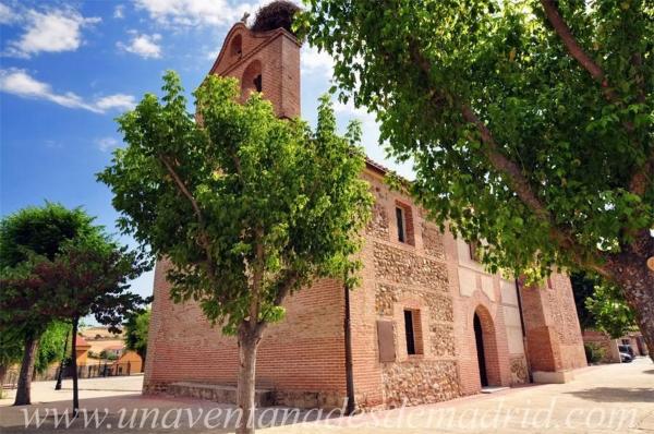Terreno en calle Sargadillo
