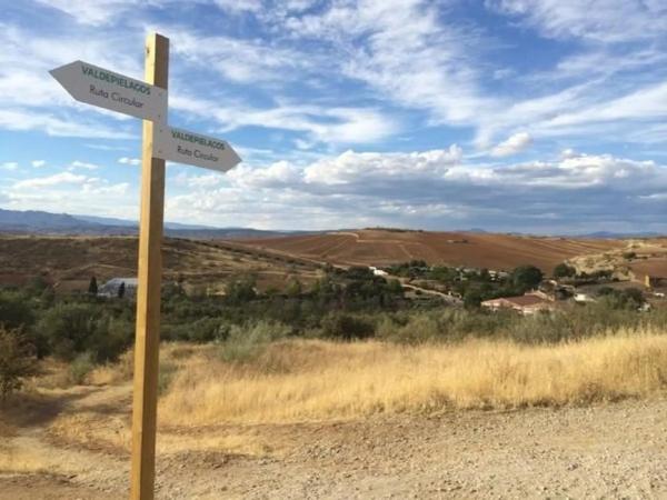 Terreno en calle Sargadillo