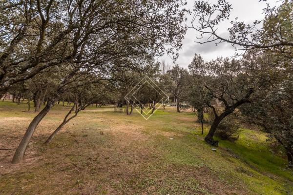 Terreno en La Moraleja urbanización