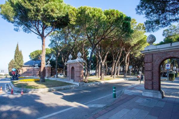 Terreno en La Moraleja urbanización