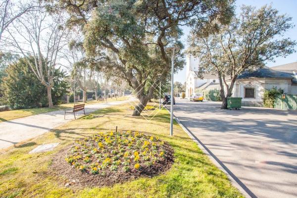 Terreno en La Moraleja urbanización