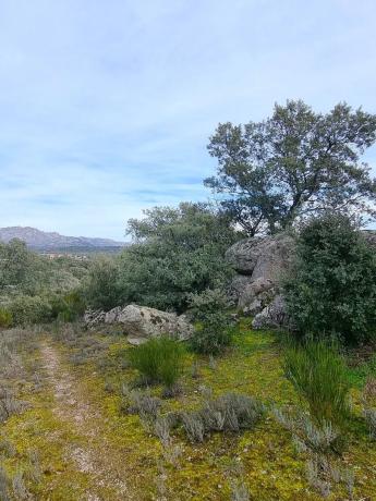 Terreno en calle Cañada del Vedado, 34