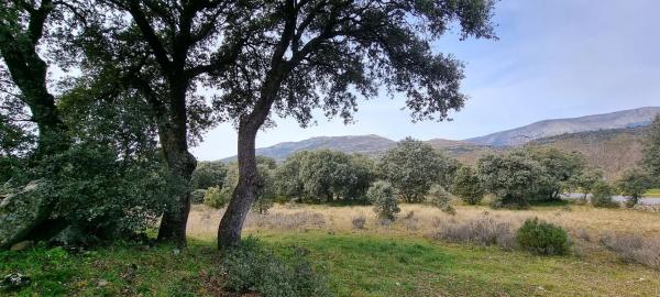 Terreno en calle Cañada del Vedado, 34