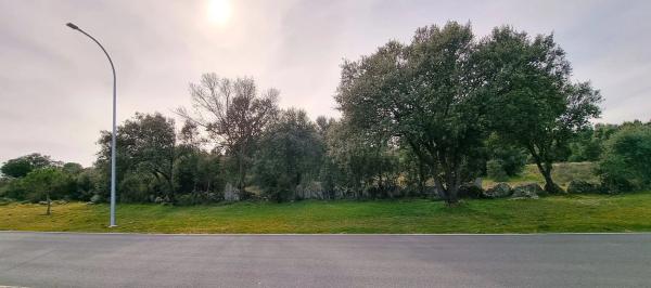 Terreno en calle Cañada del Vedado, 34