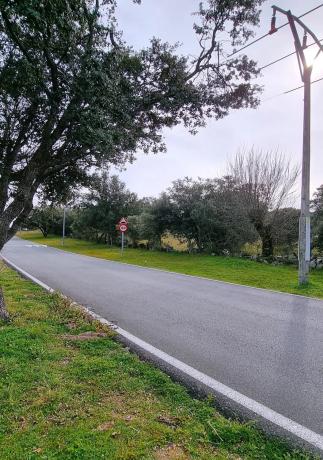 Terreno en calle Cañada del Vedado, 34