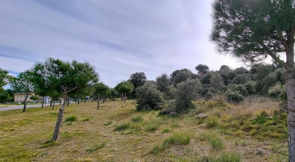 Terreno en calle Cañada del Vedado, 34