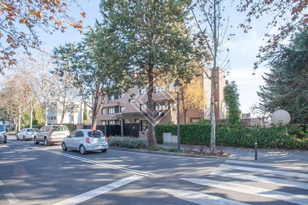 Terreno en La Moraleja urbanización