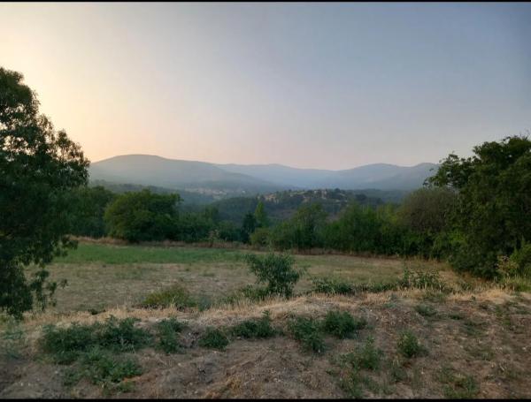 Terreno en calle de la Cruz, 12