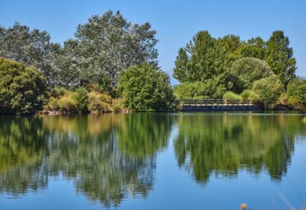 Terreno en calle de la Cruz, 12