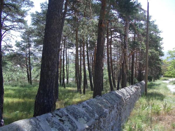 Terreno en calle Virgen de Begoña, 6
