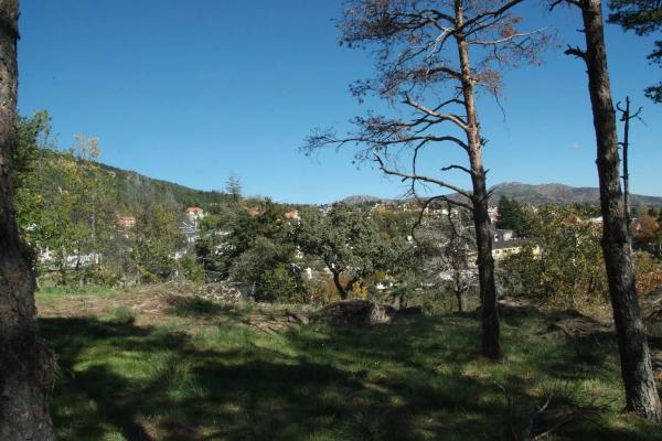 Terreno en calle Virgen de Begoña, 6