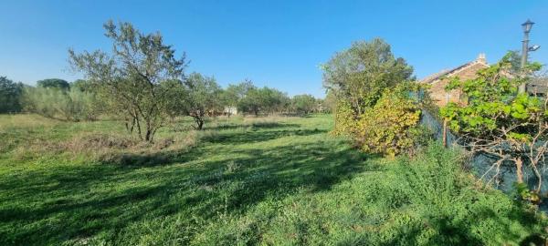 Terreno en calle Carmen Rico Godoy, 7