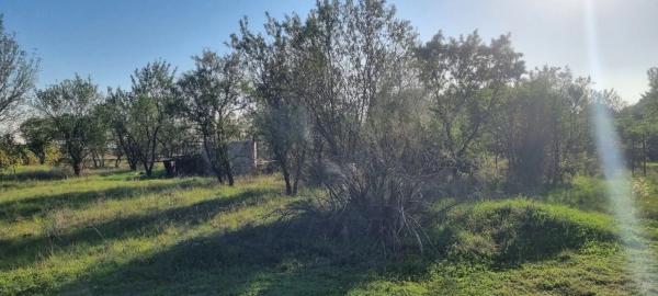 Terreno en calle Carmen Rico Godoy, 7