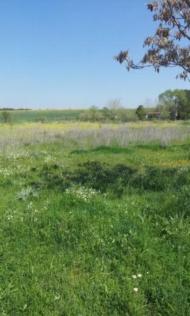 Terreno en calle Miguel Hernández, 1