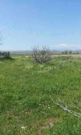 Terreno en calle Miguel Hernández, 1