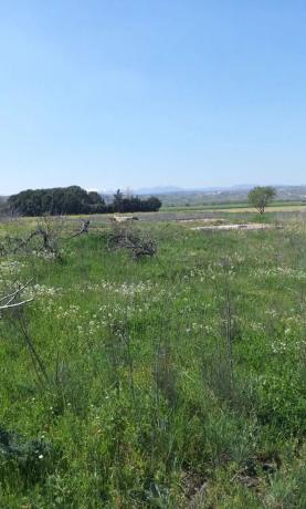 Terreno en calle Miguel Hernández, 1