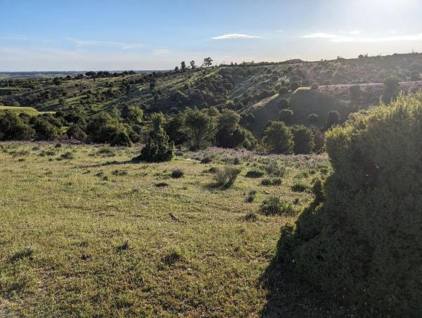 Terreno en camino Vial, 9