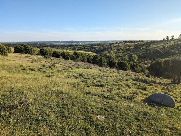 Terreno en camino Vial, 9