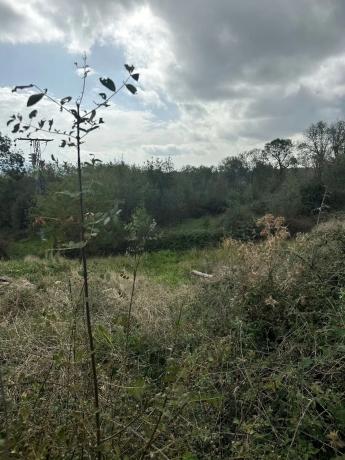 Terreno en calle Miguel Hernandez, 10