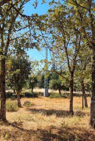 Terreno en carretera de Valdemanco, 33