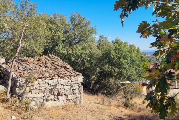 Terreno en carretera de Valdemanco, 33