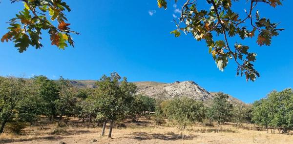 Terreno en carretera de Valdemanco, 33
