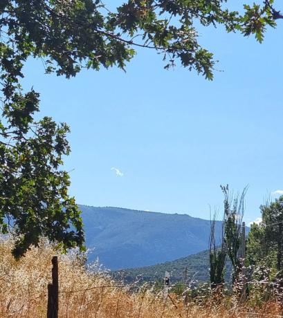 Terreno en carretera de Valdemanco, 33