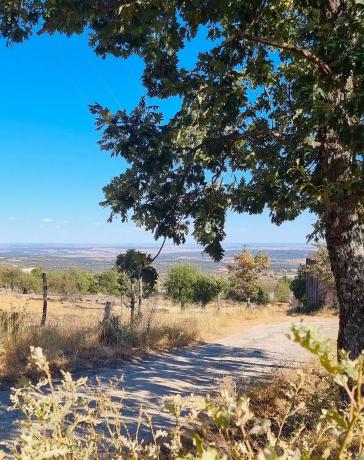 Terreno en carretera de Valdemanco, 33