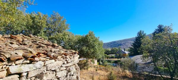 Terreno en carretera de Valdemanco, 33