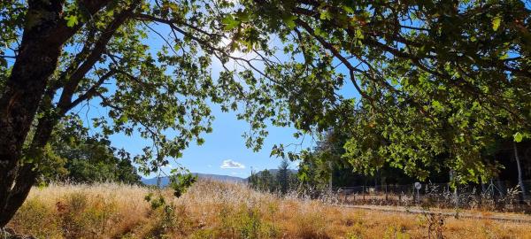 Terreno en carretera de Valdemanco, 33
